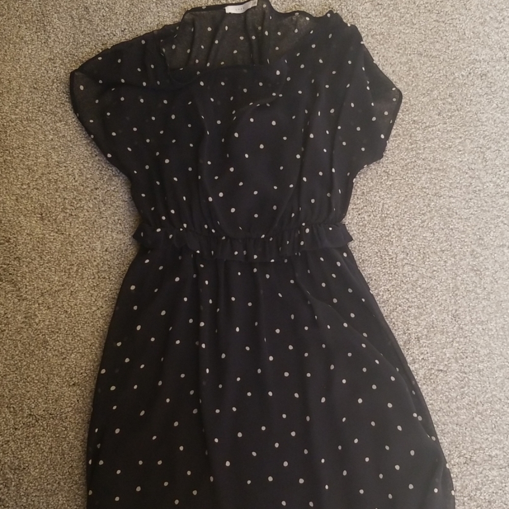 Sheer Lush navy dot dress